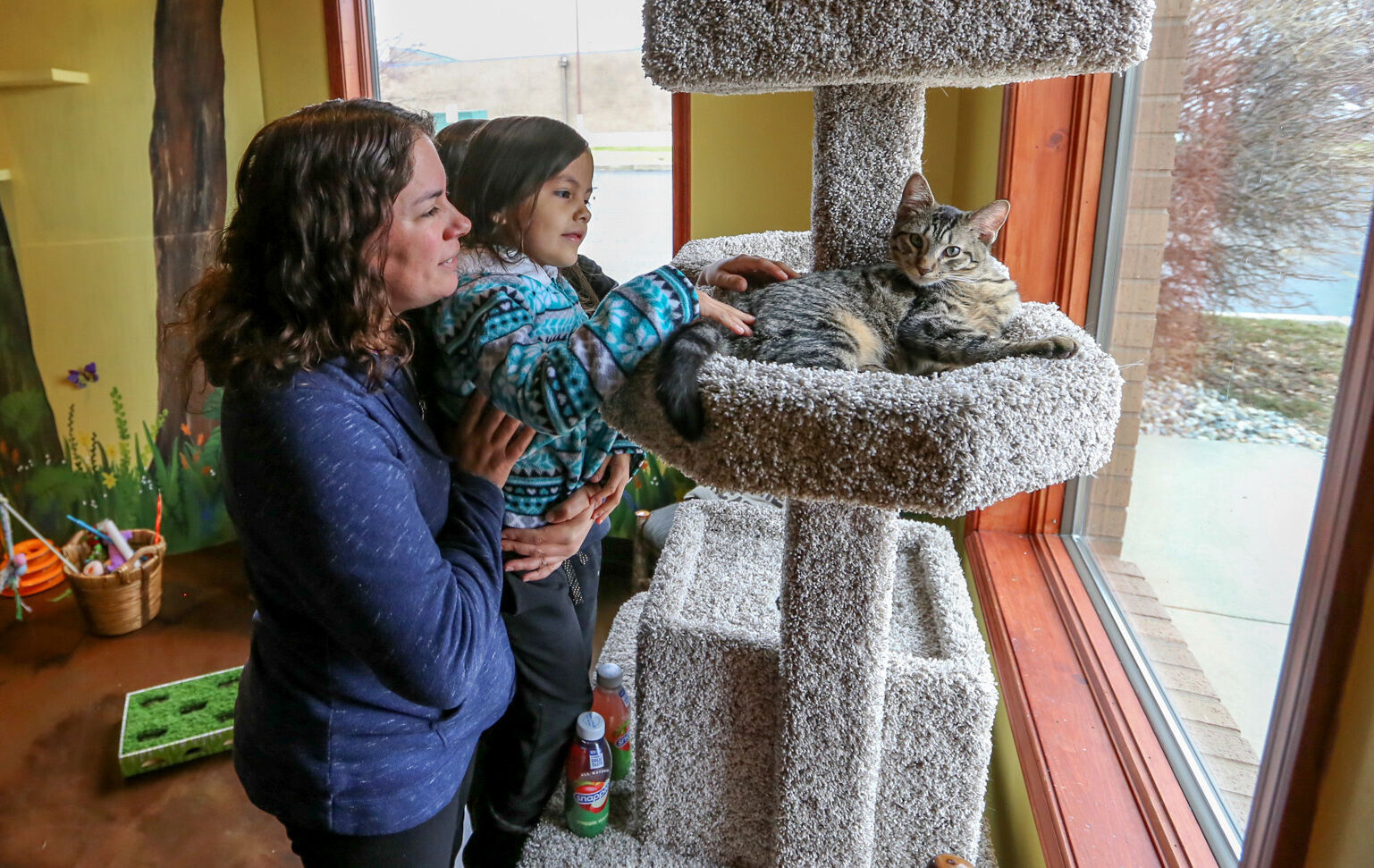 The Region Cat Cafe